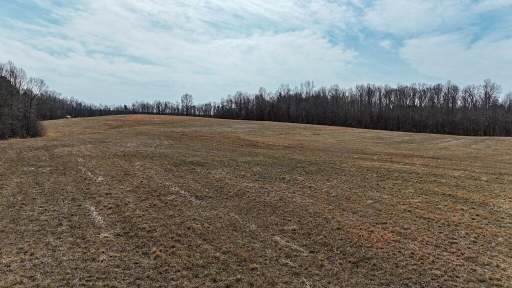 83.71± Acres of Prime Hunting & Recreation in Halifax County, VA
