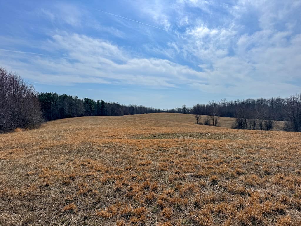 83.71± Acres of Prime Hunting & Recreation in Halifax County, VA