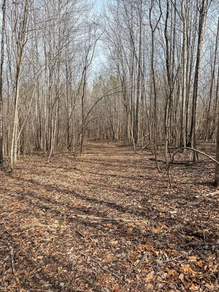 83.71± Acres of Prime Hunting & Recreation in Halifax County, VA