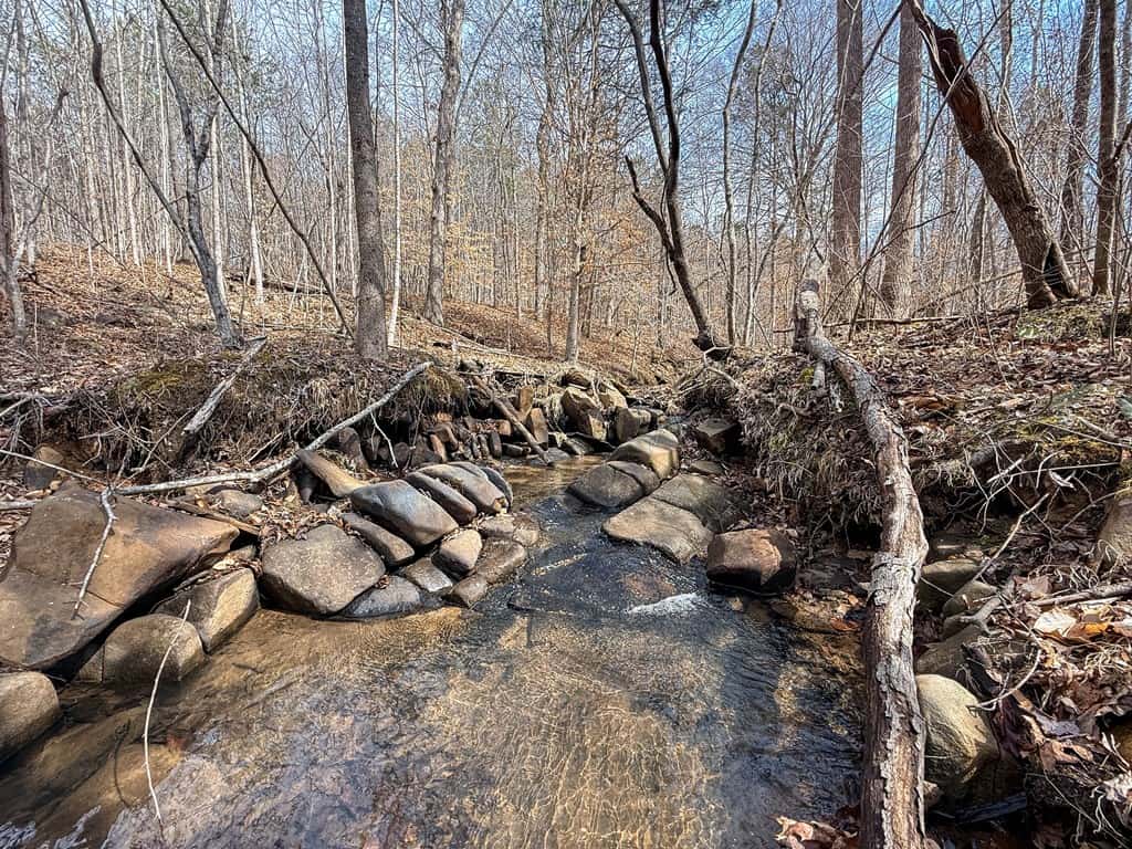 83.71± Acres of Prime Hunting & Recreation in Halifax County, VA