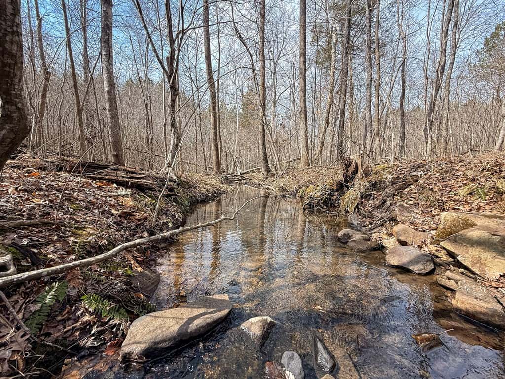 83.71± Acres of Prime Hunting & Recreation in Halifax County, VA
