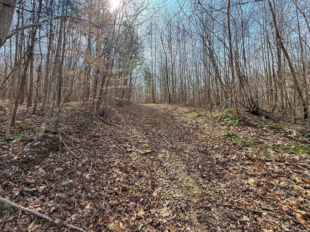 83.71± Acres of Prime Hunting & Recreation in Halifax County, VA