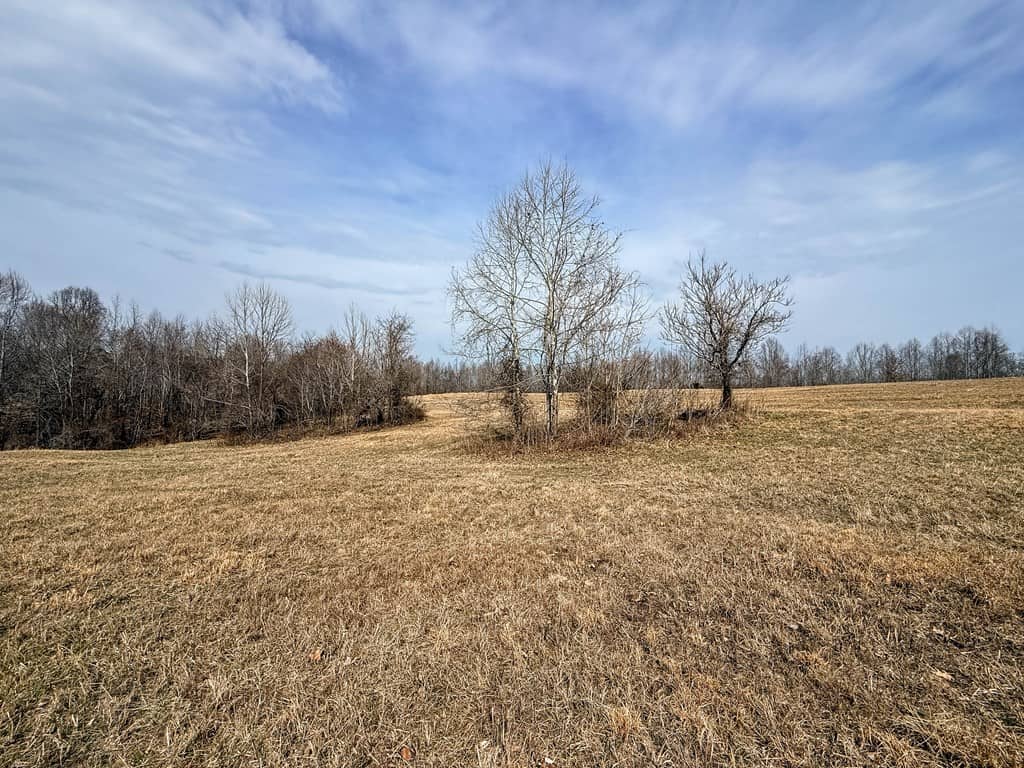 83.71± Acres of Prime Hunting & Recreation in Halifax County, VA