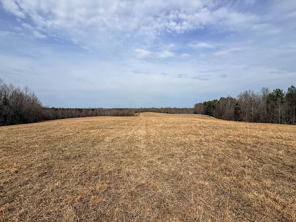 83.71± Acres of Prime Hunting & Recreation in Halifax County, VA