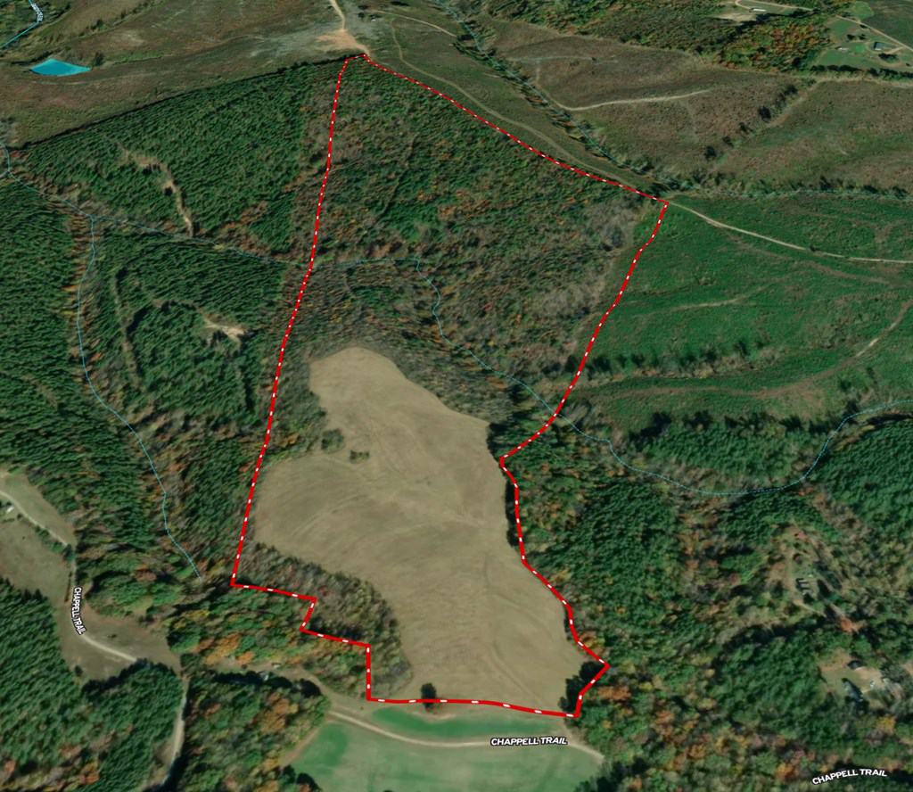 83.71± Acres of Prime Hunting & Recreation in Halifax County, VA