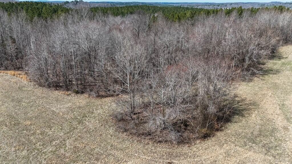 83.71± Acres of Prime Hunting & Recreation in Halifax County, VA