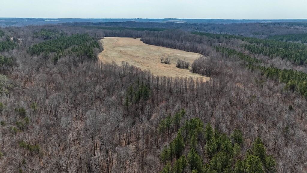 83.71± Acres of Prime Hunting & Recreation in Halifax County, VA