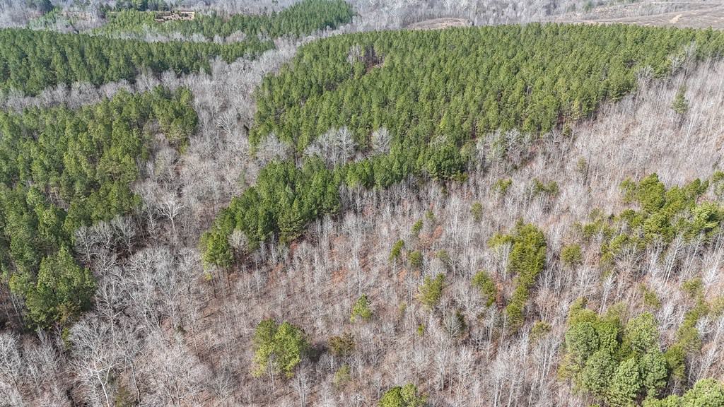83.71± Acres of Prime Hunting & Recreation in Halifax County, VA