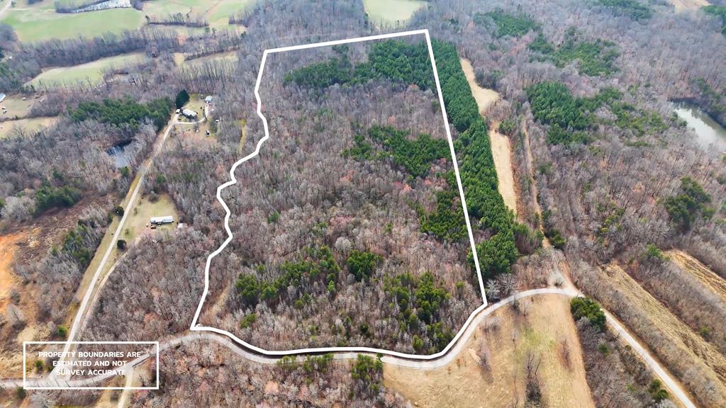 35.24 Acres Bordering White Oak Mountain WMA – Hunter’s Haven
