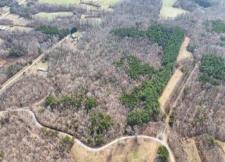 35.24 Acres Bordering White Oak Mountain WMA – Hunter’s Haven