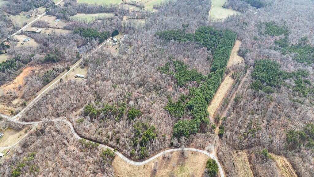 35.24 Acres Bordering White Oak Mountain WMA – Hunter’s Haven