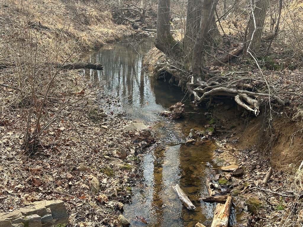 35.24 Acres Bordering White Oak Mountain WMA – Hunter’s Haven