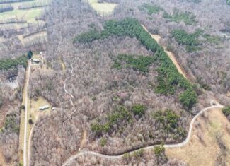35.24 Acres Bordering White Oak Mountain WMA – Hunter’s Haven