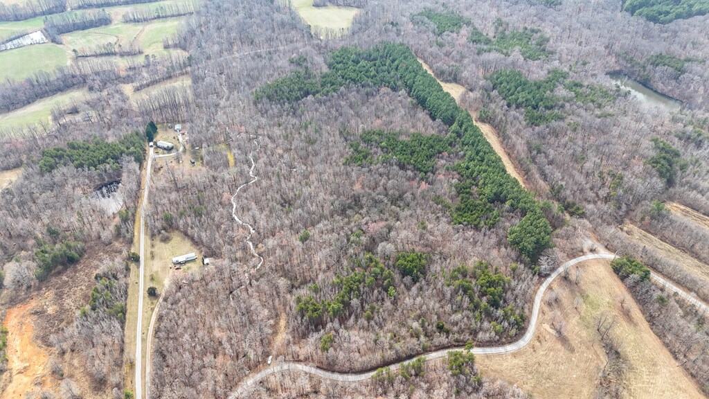35.24 Acres Bordering White Oak Mountain WMA – Hunter’s Haven