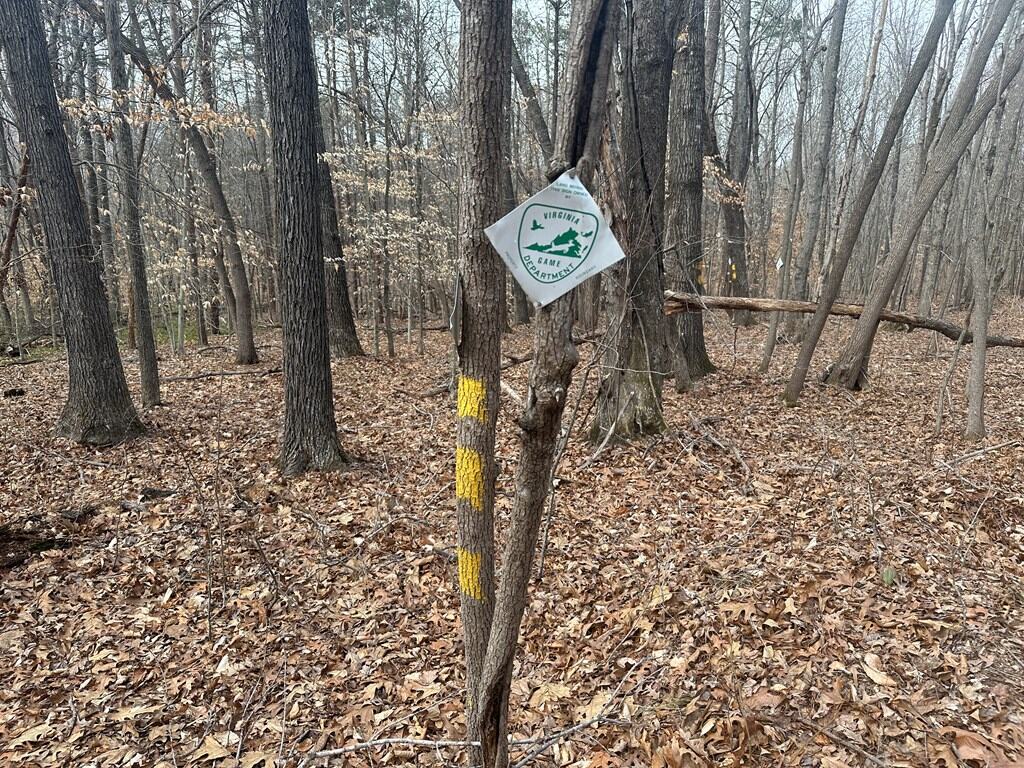35.24 Acres Bordering White Oak Mountain WMA – Hunter’s Haven