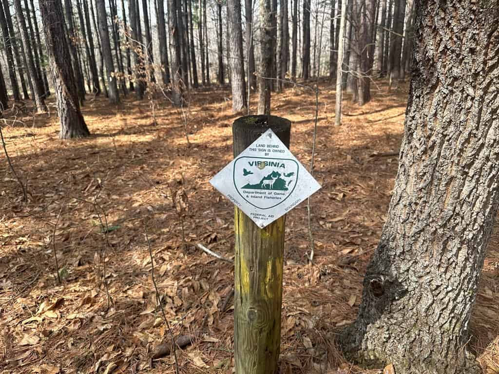 35.24 Acres Bordering White Oak Mountain WMA – Hunter’s Haven