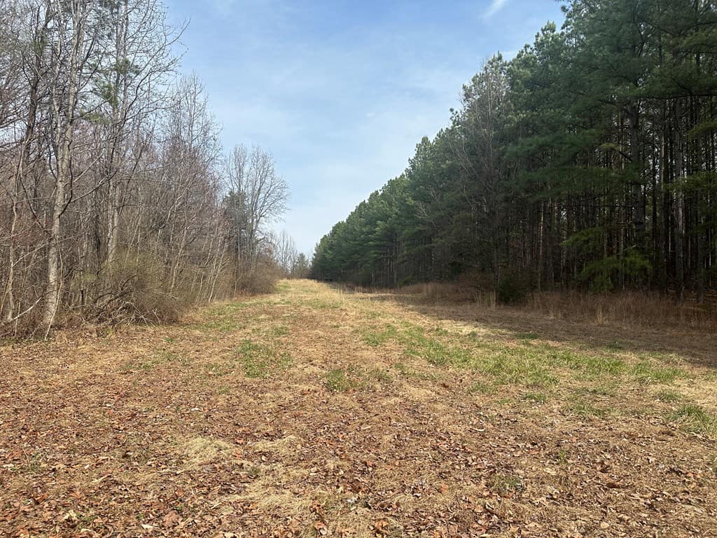 35.24 Acres Bordering White Oak Mountain WMA – Hunter’s Haven
