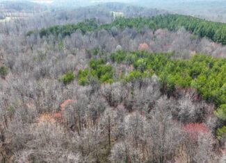 35.24 Acres Bordering White Oak Mountain WMA – Hunter’s Haven