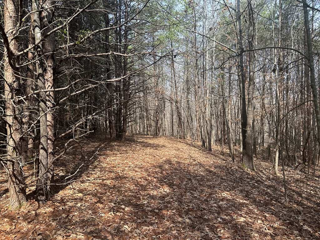35.24 Acres Bordering White Oak Mountain WMA – Hunter’s Haven