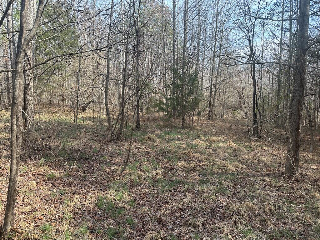 35.24 Acres Bordering White Oak Mountain WMA – Hunter’s Haven