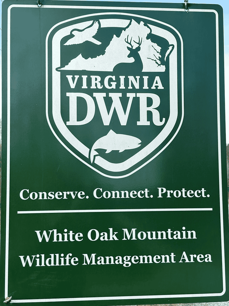 35.24 Acres Bordering White Oak Mountain WMA – Hunter’s Haven