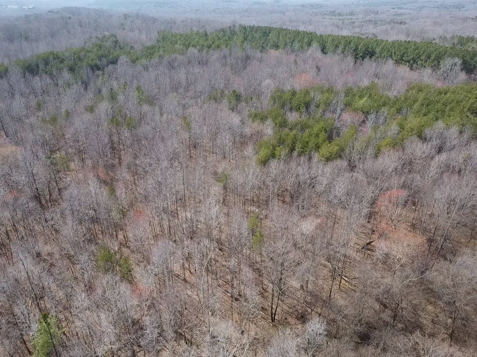 35.24 Acres Bordering White Oak Mountain WMA – Hunter’s Haven