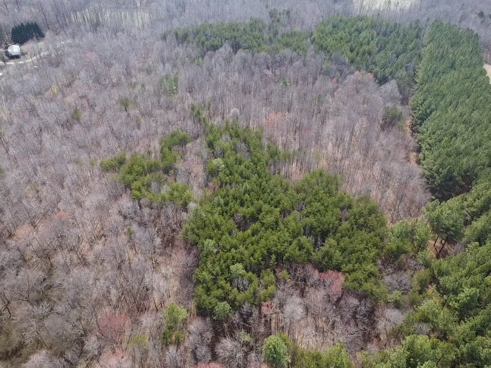 35.24 Acres Bordering White Oak Mountain WMA – Hunter’s Haven