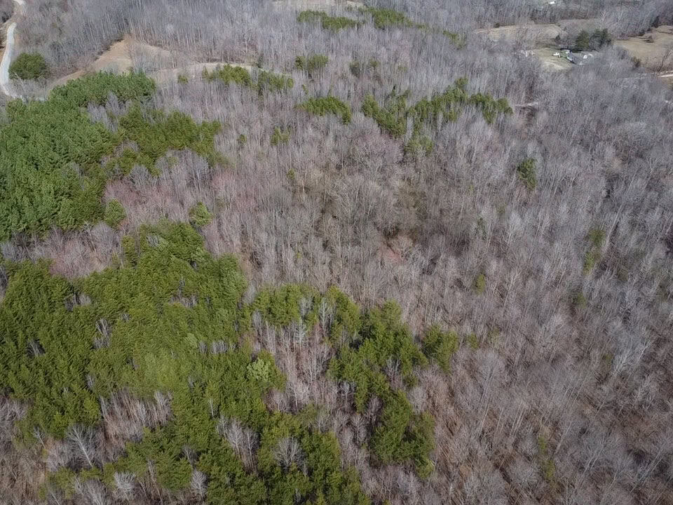 35.24 Acres Bordering White Oak Mountain WMA – Hunter’s Haven