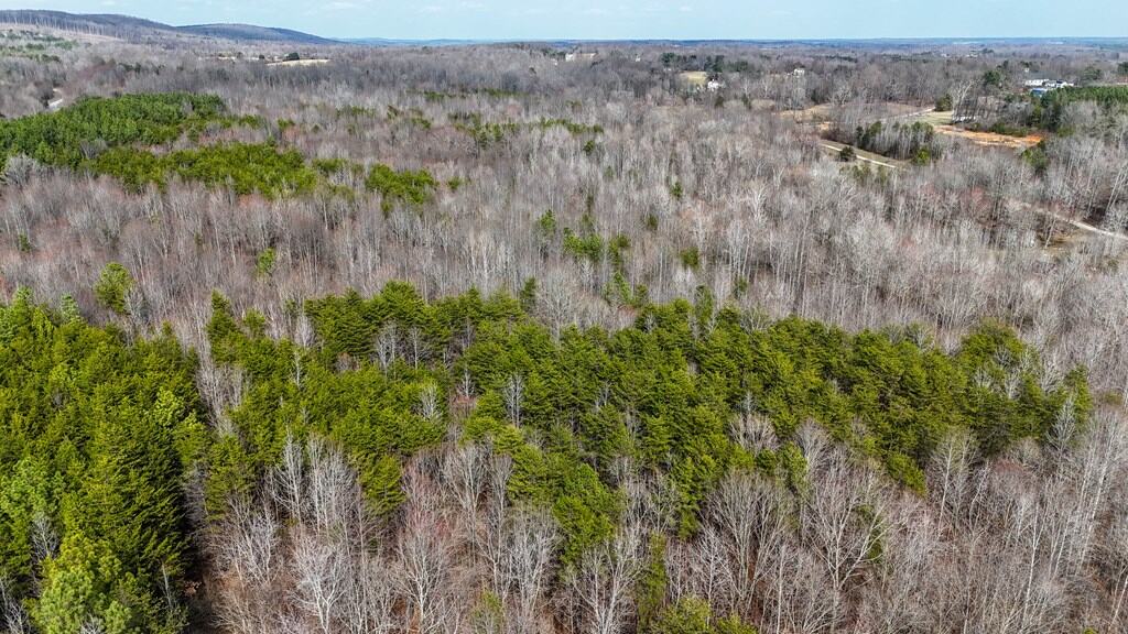 35.24 Acres Bordering White Oak Mountain WMA – Hunter’s Haven