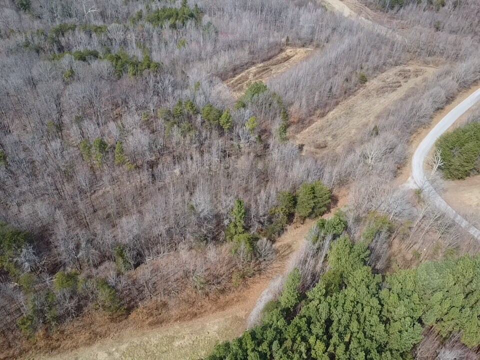 35.24 Acres Bordering White Oak Mountain WMA – Hunter’s Haven