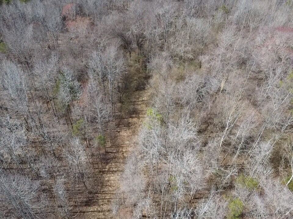35.24 Acres Bordering White Oak Mountain WMA – Hunter’s Haven
