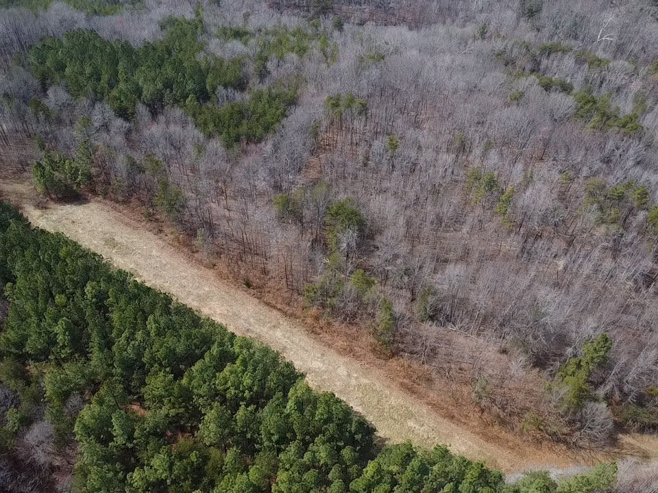35.24 Acres Bordering White Oak Mountain WMA – Hunter’s Haven