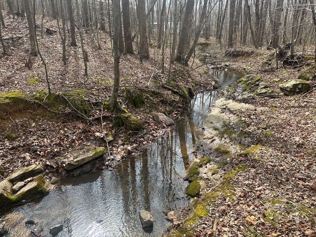 35.24 Acres Bordering White Oak Mountain WMA – Hunter’s Haven