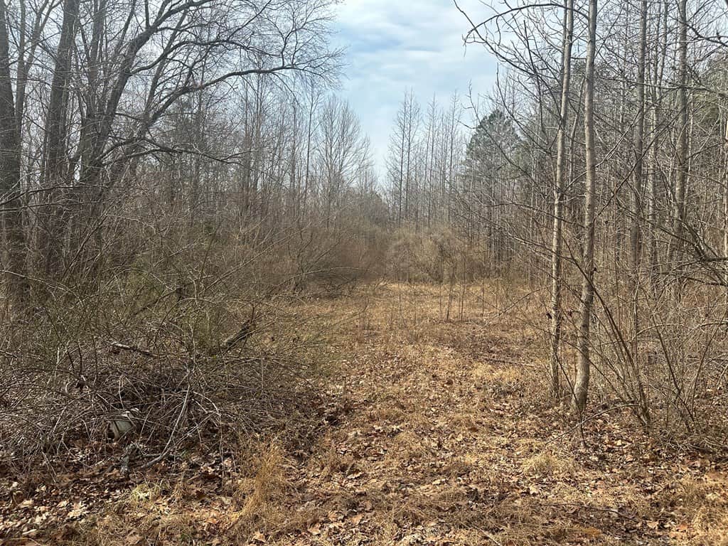 35.24 Acres Bordering White Oak Mountain WMA – Hunter’s Haven