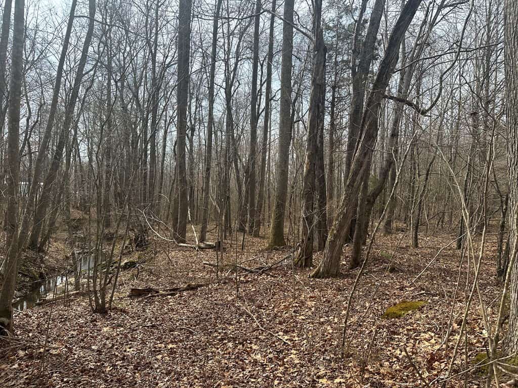 35.24 Acres Bordering White Oak Mountain WMA – Hunter’s Haven