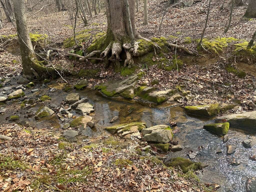 35.24 Acres Bordering White Oak Mountain WMA – Hunter’s Haven