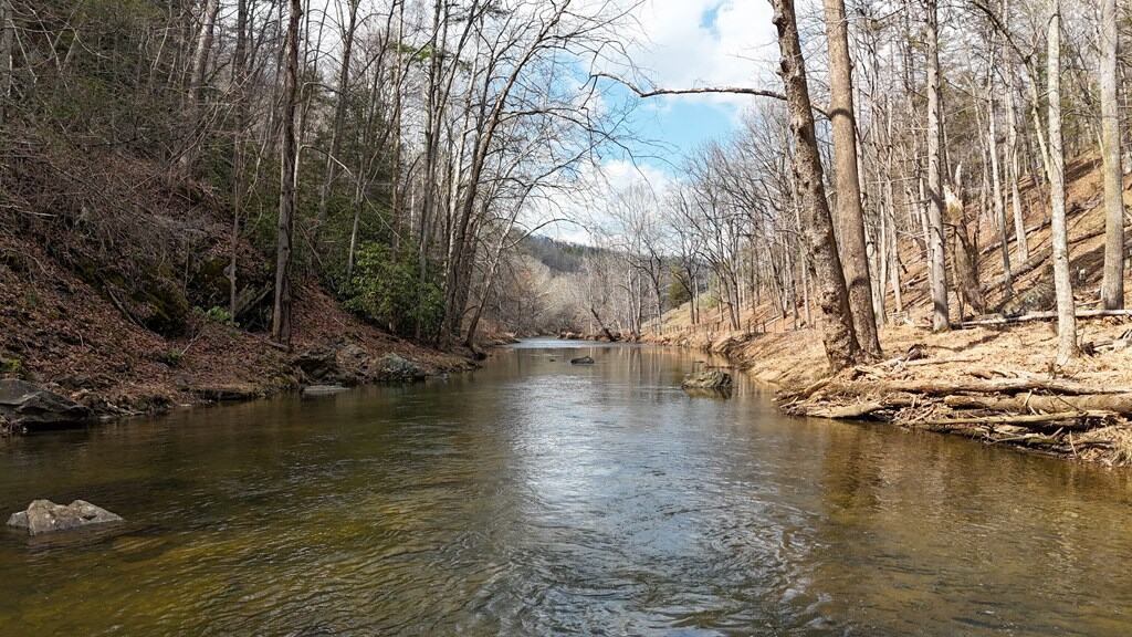 144.8± Acres of Premier Hunting Land in Southwest Virginia