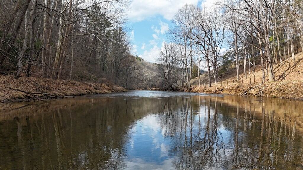 144.8± Acres of Premier Hunting Land in Southwest Virginia