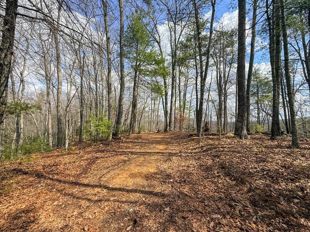 144.8± Acres of Premier Hunting Land in Southwest Virginia