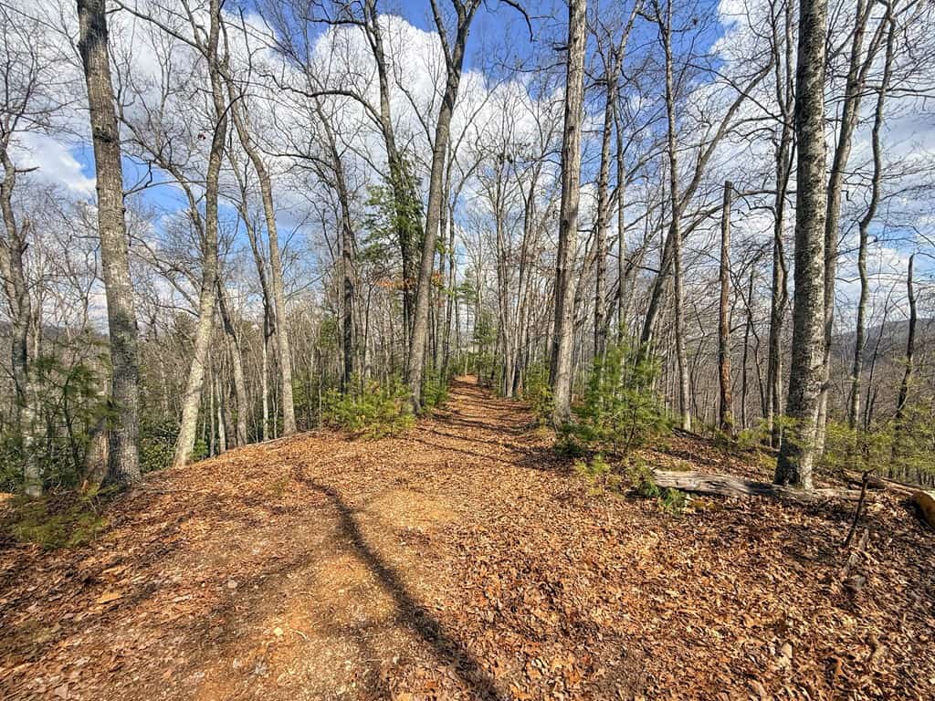 144.8± Acres of Premier Hunting Land in Southwest Virginia