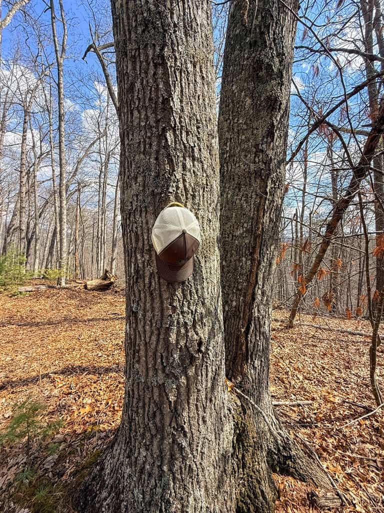 144.8± Acres of Premier Hunting Land in Southwest Virginia