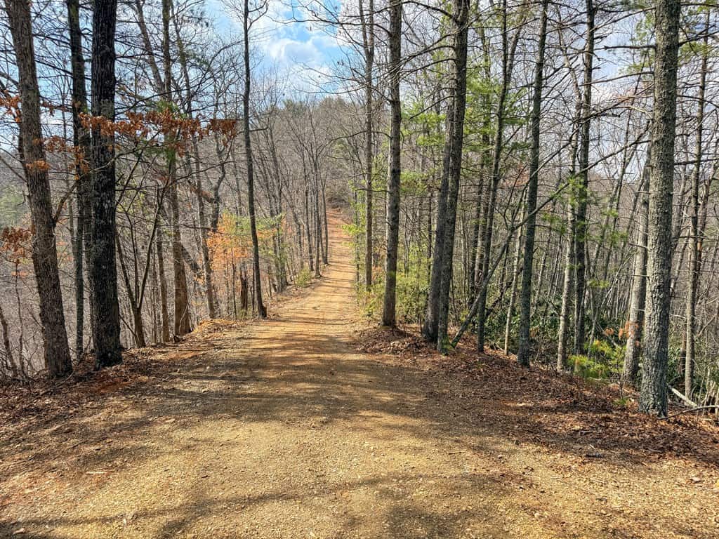 144.8± Acres of Premier Hunting Land in Southwest Virginia