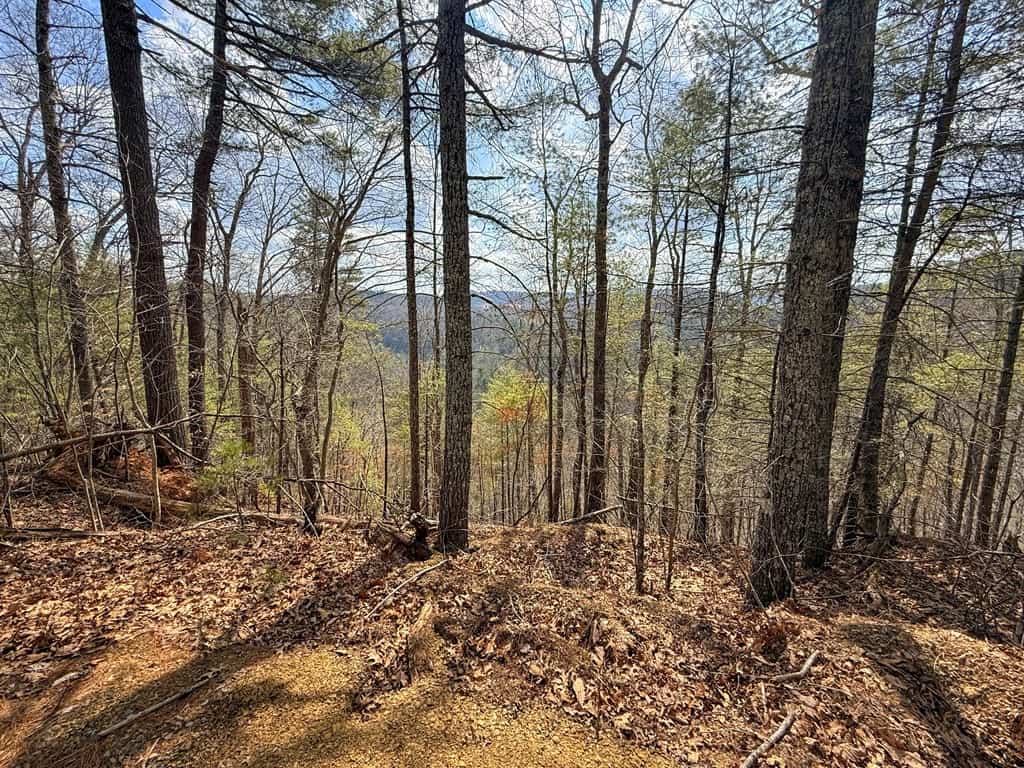 144.8± Acres of Premier Hunting Land in Southwest Virginia
