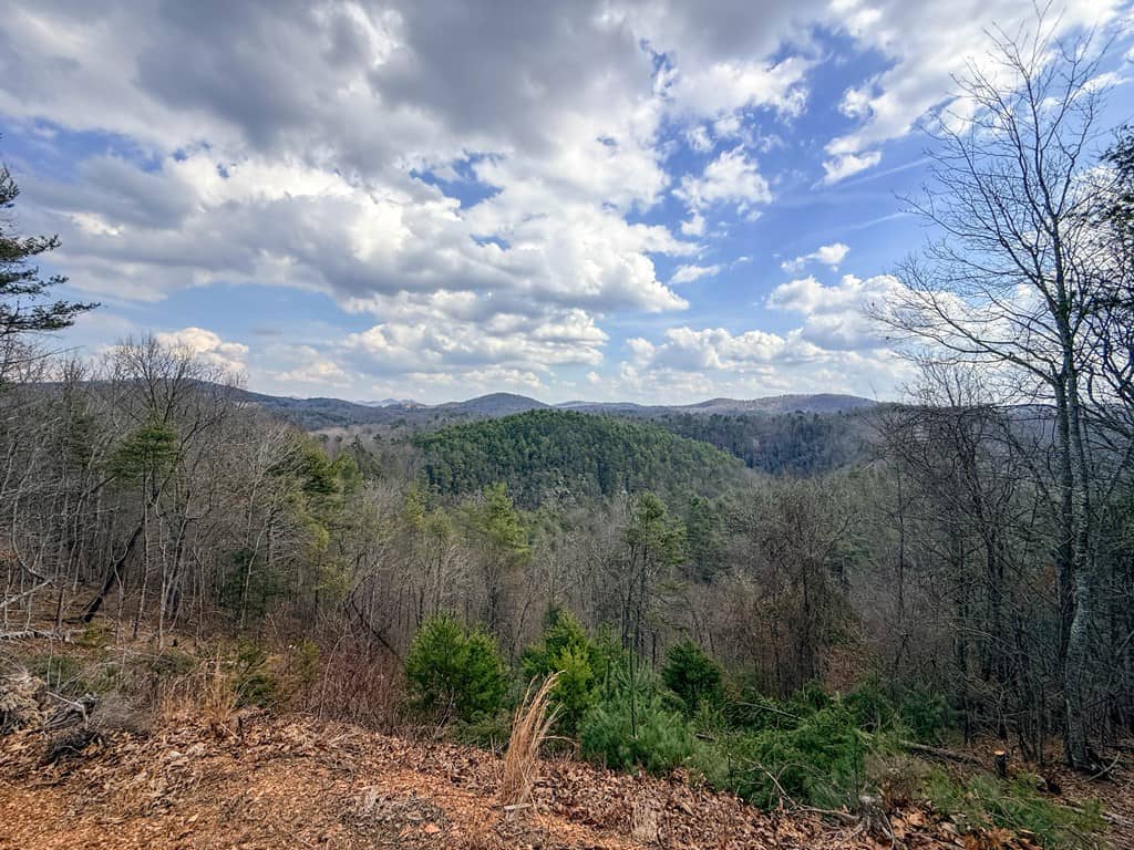 144.8± Acres of Premier Hunting Land in Southwest Virginia