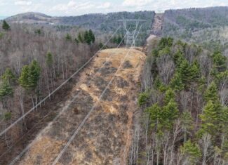 144.8± Acres of Premier Hunting Land in Southwest Virginia