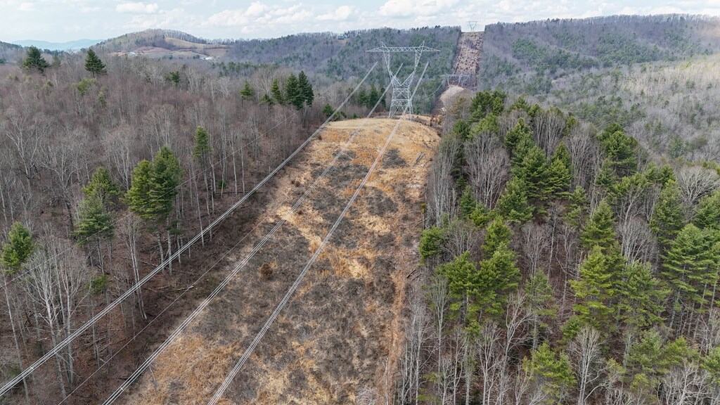 144.8± Acres of Premier Hunting Land in Southwest Virginia