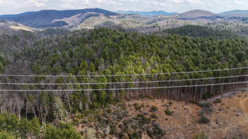 144.8± Acres of Premier Hunting Land in Southwest Virginia