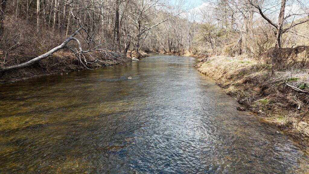 144.8± Acres of Premier Hunting Land in Southwest Virginia