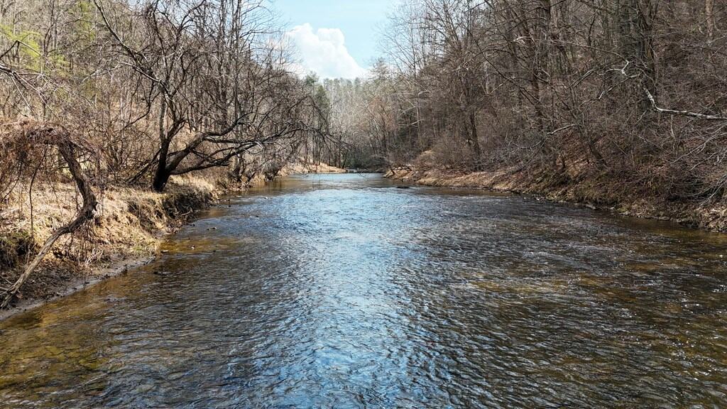 144.8± Acres of Premier Hunting Land in Southwest Virginia