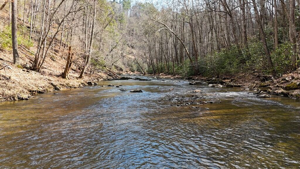 144.8± Acres of Premier Hunting Land in Southwest Virginia